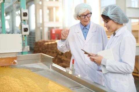 Os diferentes tipos de contaminantes metálicos e como os detectores de metais os identificam